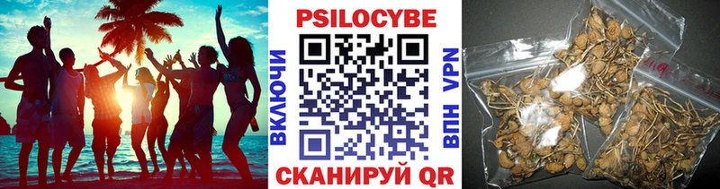 Псилоцибиновые грибы Psilocybe  мориарти состав  Балей 